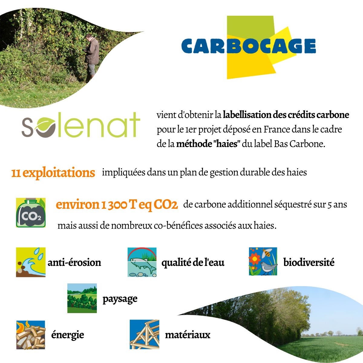 Bonne nouvelle ! Labellisation obtenue pour le 1er projet 🇫🇷 dans le cadre de la méthode #haies du #labelbascarbone 🎉 Merci à tous ceux qui ont contribué à cette 1ère réussite du projet #Carbocage pour une compensation carbone locale, concrète, et avec de nombreux co-bénéfices