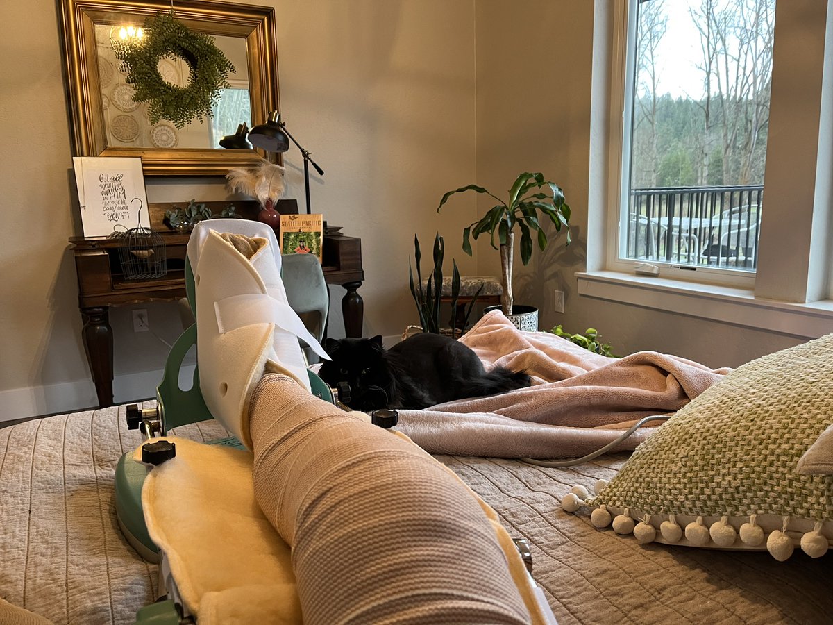 educationhall's tweet photo. My view for the next couple of weeks.
Last time I had knee surgery, my goal was to long-jump in the @SeniorGames1. ✅ Won the MT title, then tore my ACL again.
This time? I’m considering my options. Got any ideas, friends?
#TimetoStrive
#KeepGettingUp
#TortureDevice
#CatPT https://t.co/ksVcyefleo