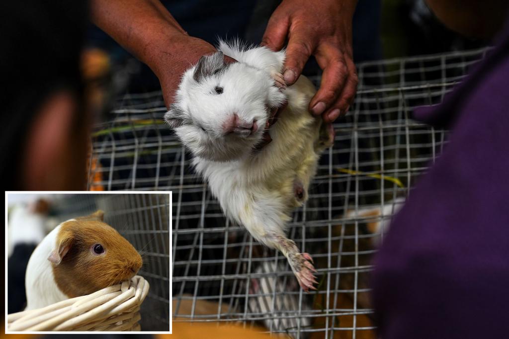 New York Post tweet media