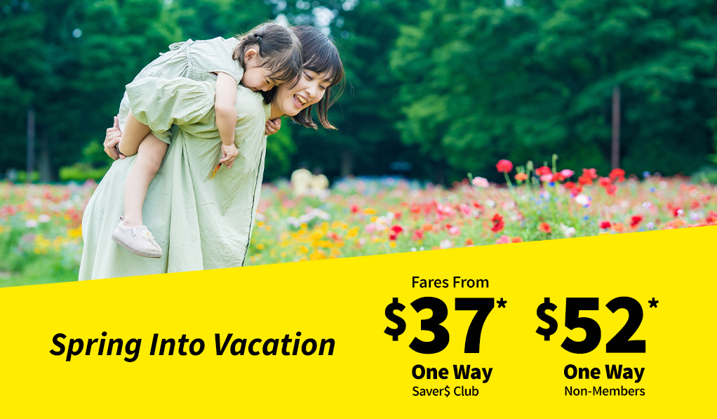 Spirit Airlines tweet media