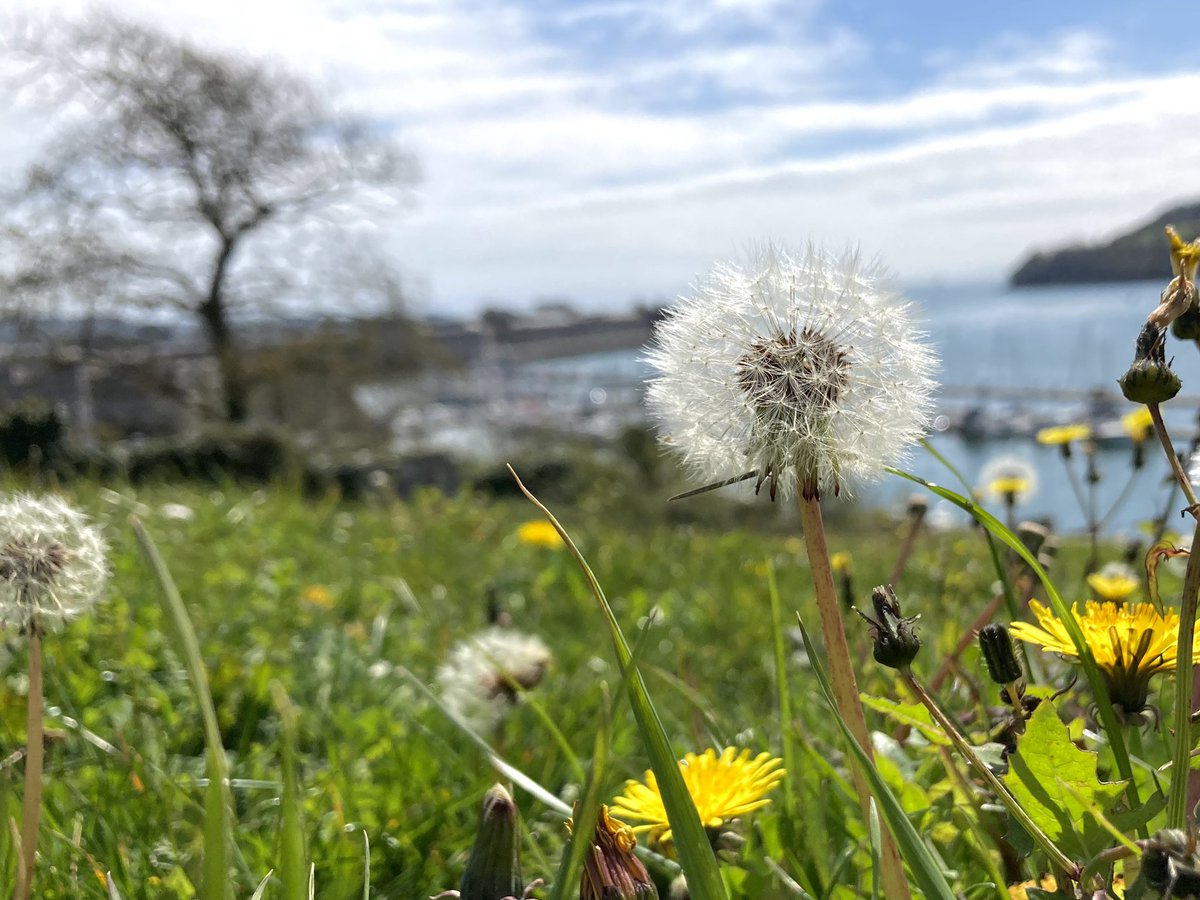 The Health Inclusion Pathway, Plymouth (HIPP) is now on <a href="/UHP_SeeEHR/">UHP SeeEHR</a> ! Use the form or call 01752 437777, option 9 📞 👩‍💻 ⚡️spread the word! @Acute_Medicine <a href="/UHP_UEC/">Urgent Emergency Care UHP</a> <a href="/UHP_Gastro_Card/">UHP Gastro, Endo, Hep, GIM, Renal, Cardio & PIU</a> <a href="/livewellsw/">Livewell Southwest</a> @ThePlymouthAll1 <a href="/PathwayUK/">Pathway</a>