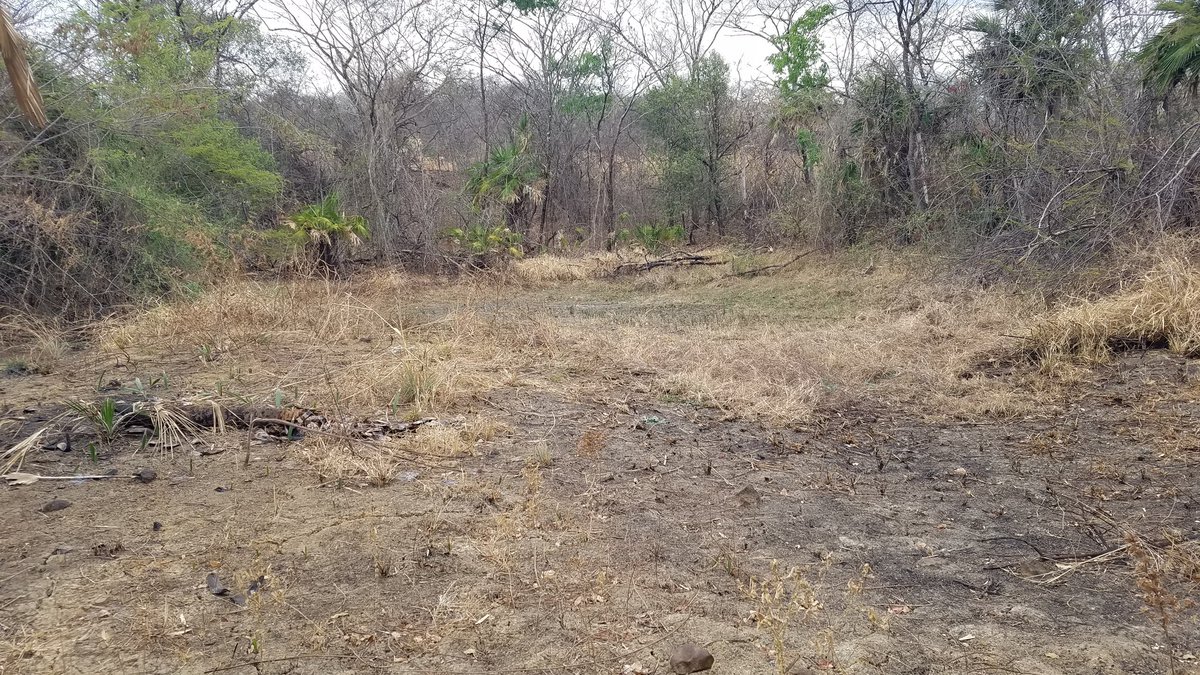 2 años solicitandole al gobierno nacional <a href="/NicolasMaduro/">Nicolás Maduro</a> <a href="/dcabellor/">Diosdado Cabello R</a> nos ayuden a reabilitar nuestra laguna q se secó,esto.se soluciona con una makina en 2 días máximo tal vez 1 día con un buen operador y no se a logrado.?; <a href="/RMarcoTorres/">Rodolfo Marco Torres</a> <a href="/minaguasoficial/">Ministerio del P.P. de Atención de las Aguas</a> que triste