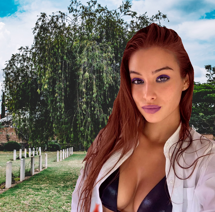 LydiaVonSaint's tweet photo. https://t.co/1boyaFtLWM
