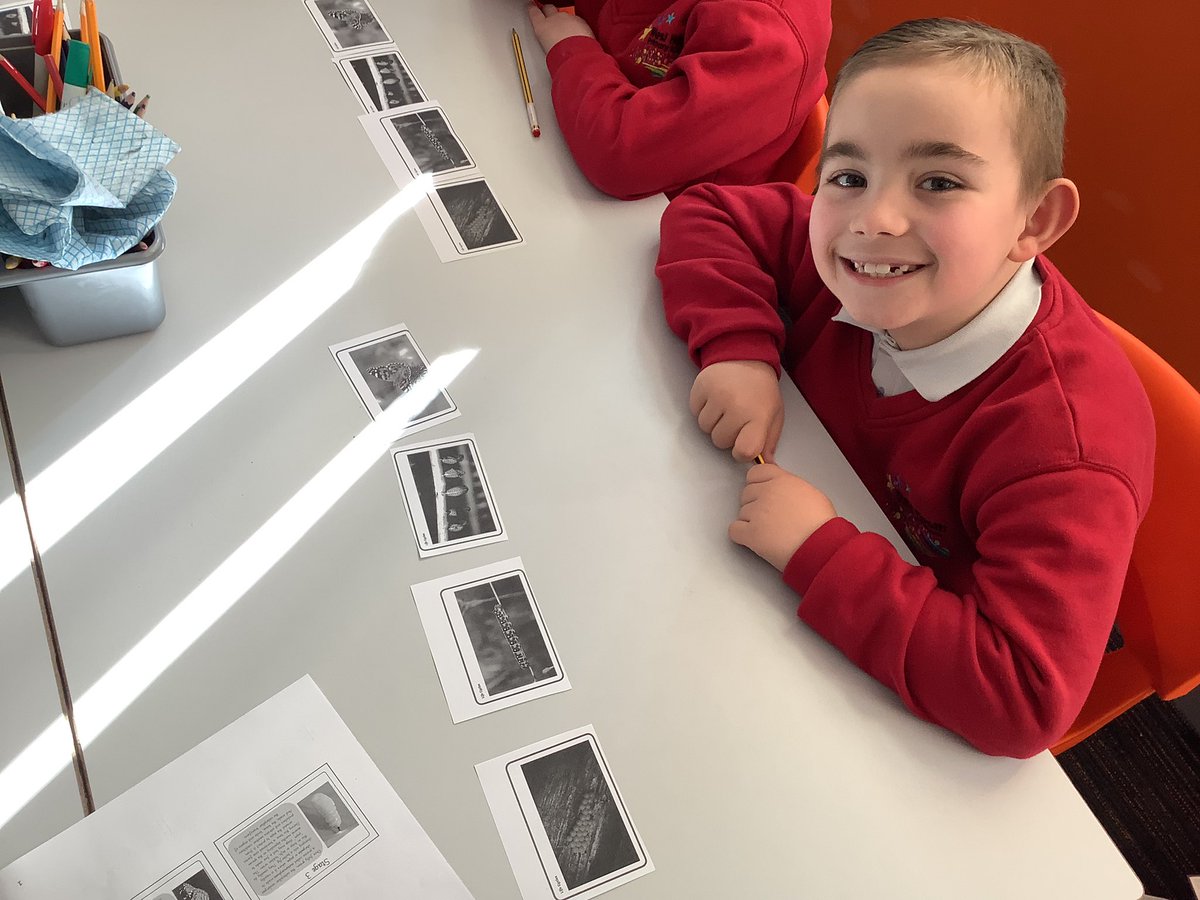 westheathprim's tweet photo. We have been learning all about the life cycle of a butterfly in English for science week! We are going to wrtie our own commentary about the process of metamorphosis and perform it at the end of the week. #WHPSClass8 #WHPSScience #BSW23 https://t.co/4CAb6ZSD6J