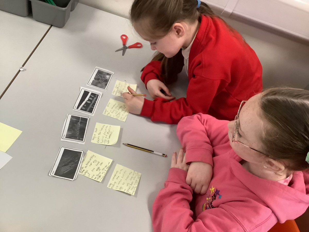 westheathprim's tweet photo. We have been learning all about the life cycle of a butterfly in English for science week! We are going to wrtie our own commentary about the process of metamorphosis and perform it at the end of the week. #WHPSClass8 #WHPSScience #BSW23 https://t.co/4CAb6ZSD6J
