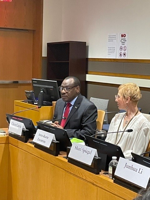 JennyKrisch's tweet photo. Countries are looking for ways to mobilize private capital to finance sustainable development ambitions. Can sovereign SDG bonds help close the financing gap for Agenda 2030? Great discussion between investors and countries. #Fin4Dev @SidaCarin @Sida @INFFplatform https://t.co/TrptxvYJDE