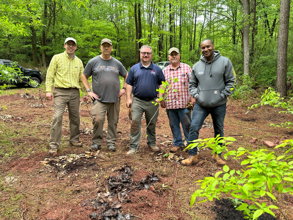 chase_hively's tweet photo. Tree-mendous project last week in #Birmingham, where our Ready Mix USA team removed invasive species and planted 40 #native #trees as part of a #restoration project at @RuffnerMountain in celebration of #Sustainability Month at @CEMEX_USA @Jenkins523 https://t.co/i3oObxqULQ