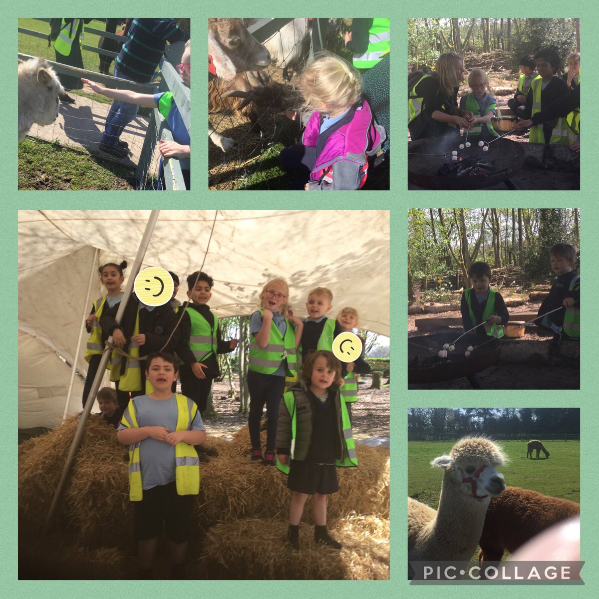 Robins - Mrs G and Mrs S tweet media