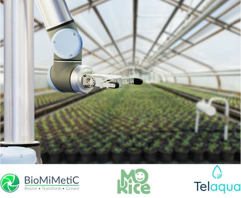 🚀  Le programme d’accélération des scale-ups, MED4SCALEUP financé par Enterprise Europe Network embarque pour cette édition 3 entreprises régionales !

Félicitations à MORICE I PETIT GRAIN startups accompagnée par Provence Angels qui fait partie de cette 4eme promotion 👏👏