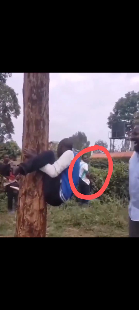 ɥʇdpq ☮️ tweet media