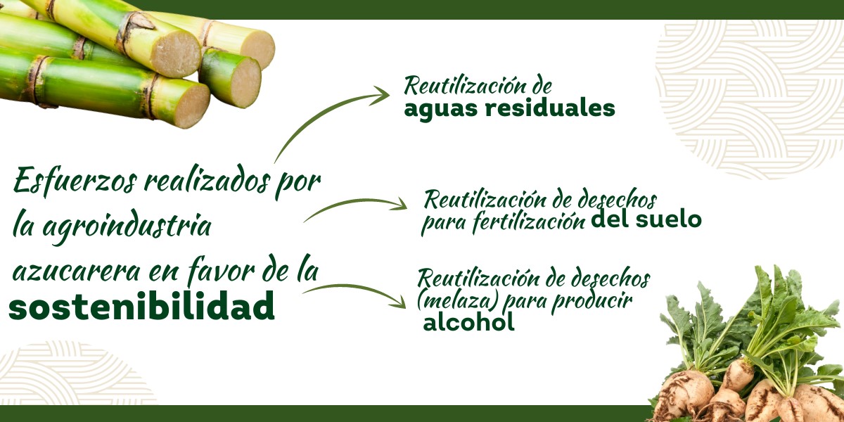 somosunala's tweet photo. 👉 ¡La agroindustria azucarera de Latinoamérica está comprometida con la #sostenibilidad🙌! Por ello, se reutilizan los desechos y se hace un uso eficiente de los #recursos, permitiendo ser un ejemplo de #economía circular. ♻️ https://t.co/GF25aKMQhL