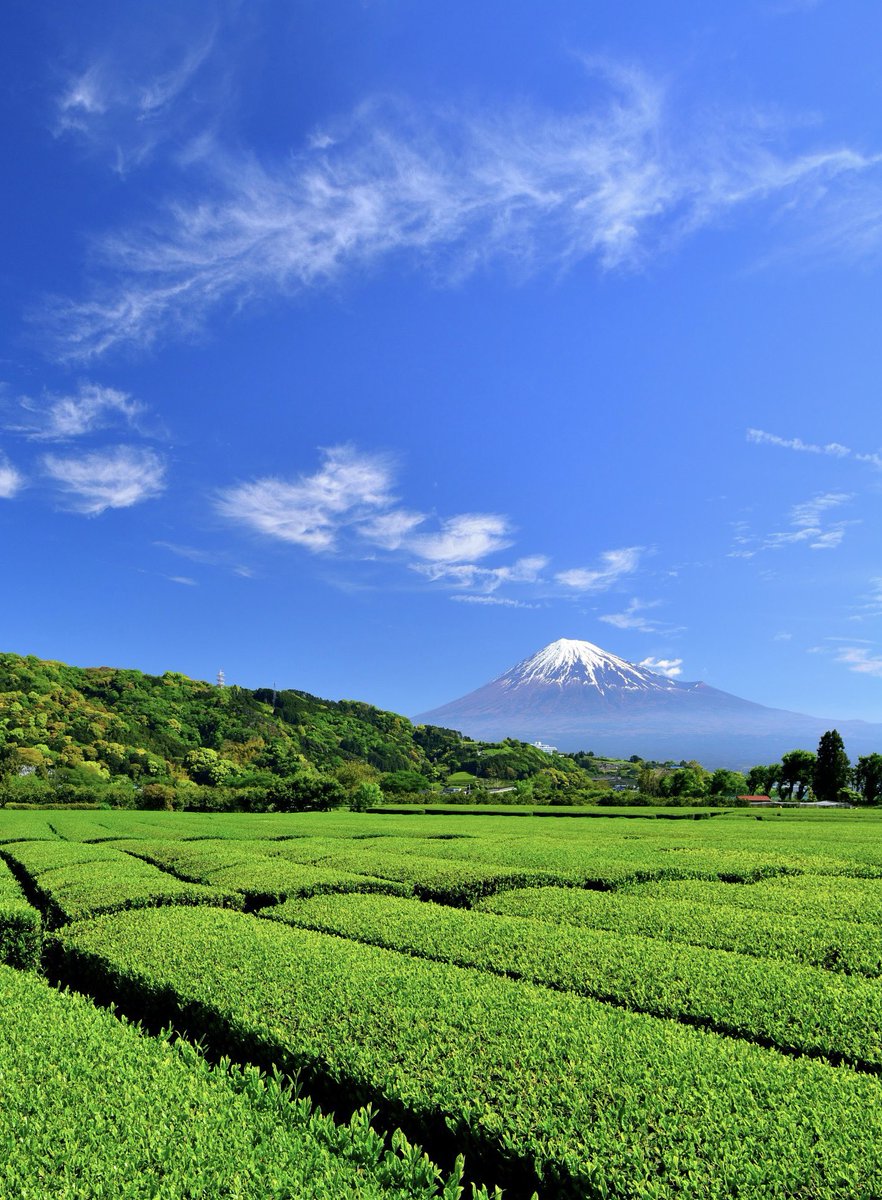 富士市からです。素晴らしい田園風景でした。 過去の作品です。