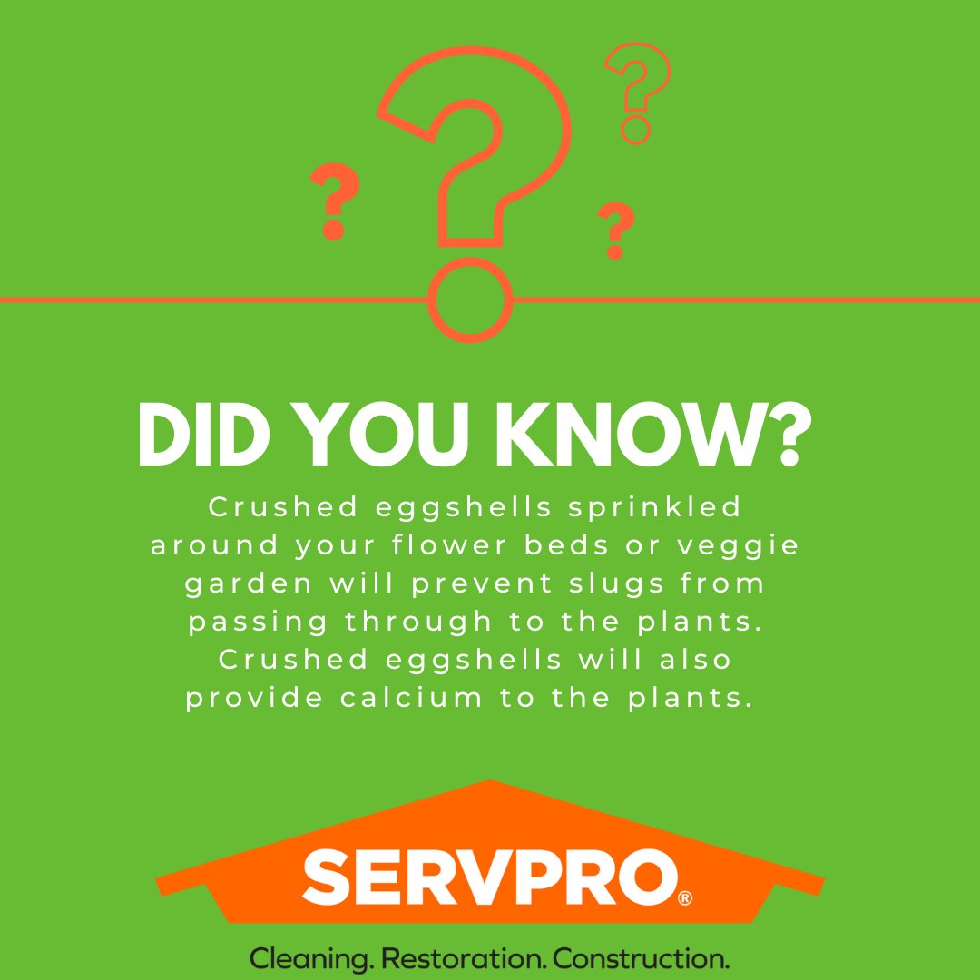 SERVPRO Delaware, OH tweet media
