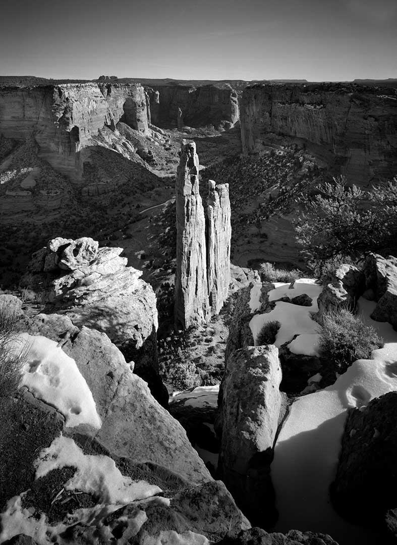 Clyde Butcher Photography tweet media