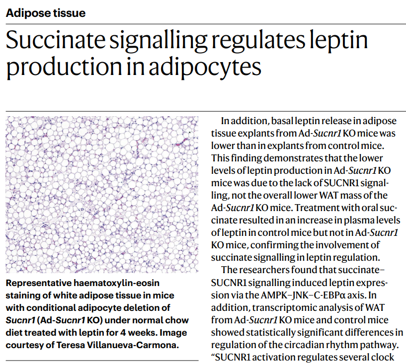 Nature Reviews Endocrinology tweet media