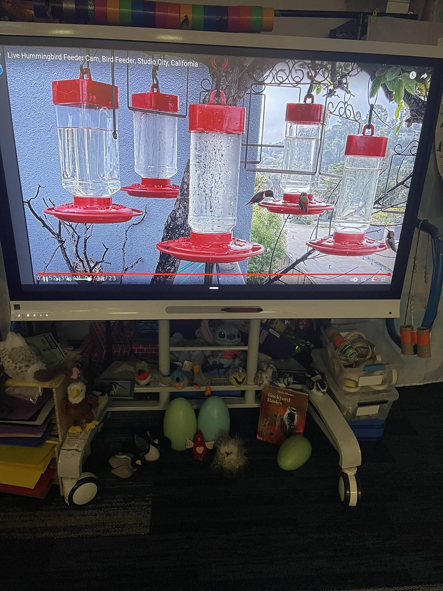 teachbeaty's tweet photo. Bird week is eggcellent!! Eggineers design nests, walls for Humpty Dumpty and new wings for a crow @SerenaHills_161 future ornithologists! https://t.co/OAL5pqZDDw