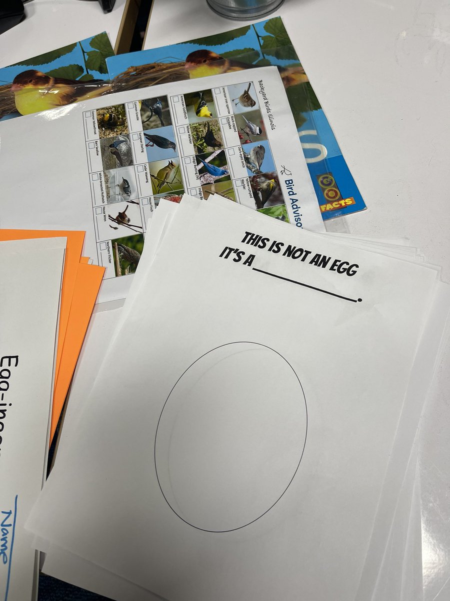 teachbeaty's tweet photo. Bird week is eggcellent!! Eggineers design nests, walls for Humpty Dumpty and new wings for a crow @SerenaHills_161 future ornithologists! https://t.co/OAL5pqZDDw