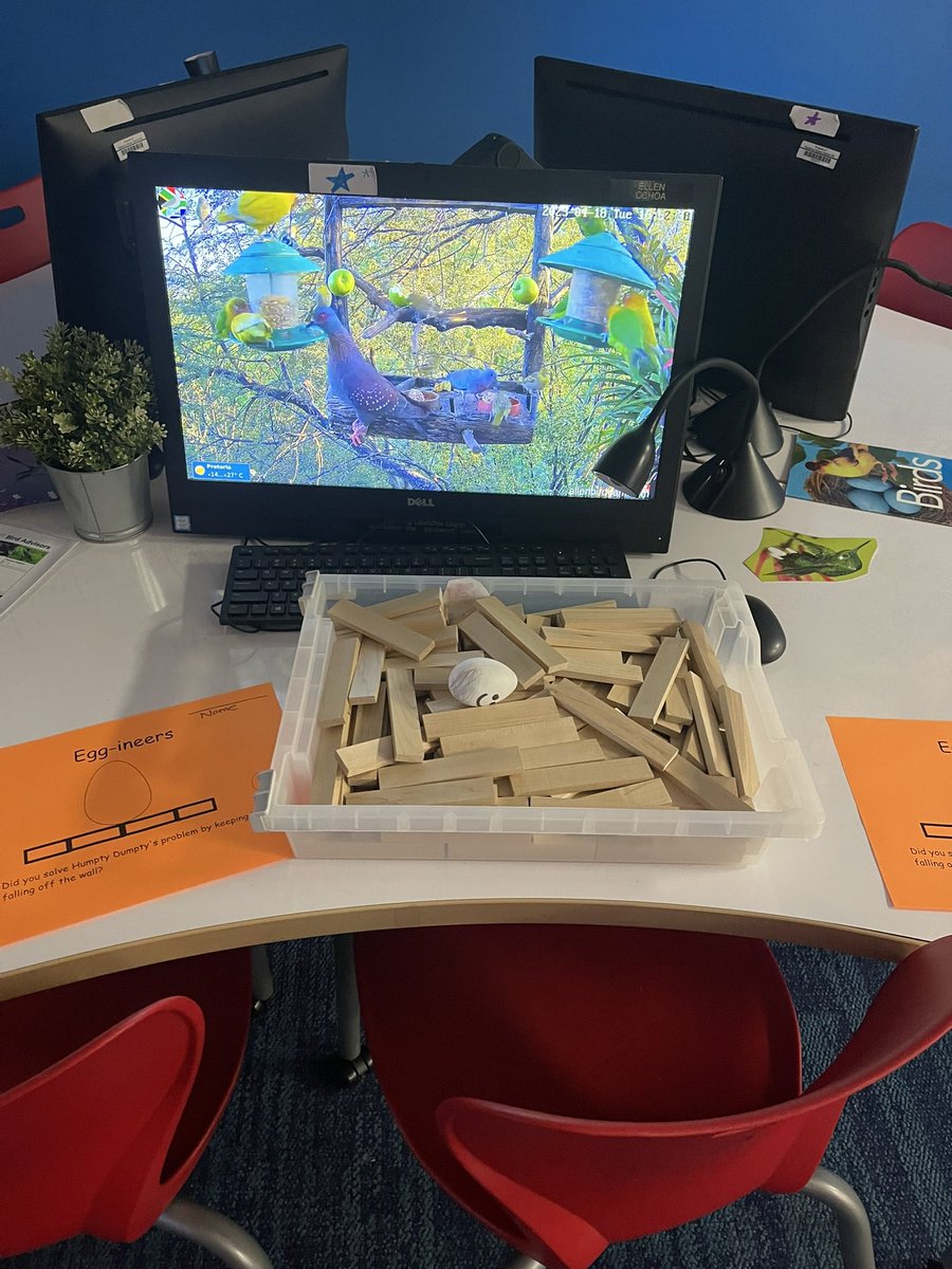 teachbeaty's tweet photo. Bird week is eggcellent!! Eggineers design nests, walls for Humpty Dumpty and new wings for a crow @SerenaHills_161 future ornithologists! https://t.co/OAL5pqZDDw