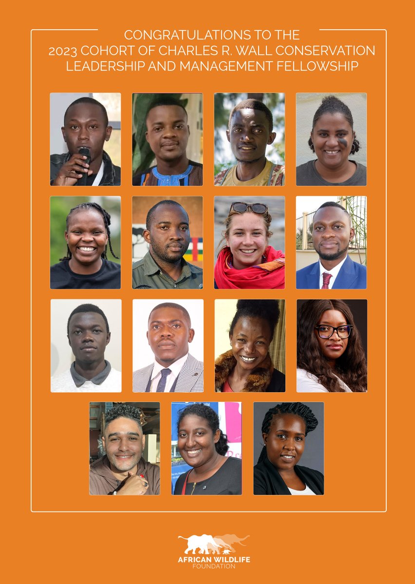 Today, we're excited to officially welcome 15 energetic young African  professionals from across the continent to kickstart the second cohort of  the Charles R. Wall Conservation Leadership and Management Fellowship  #CLMF. #AWFYouthLeadership, image size:852x1200