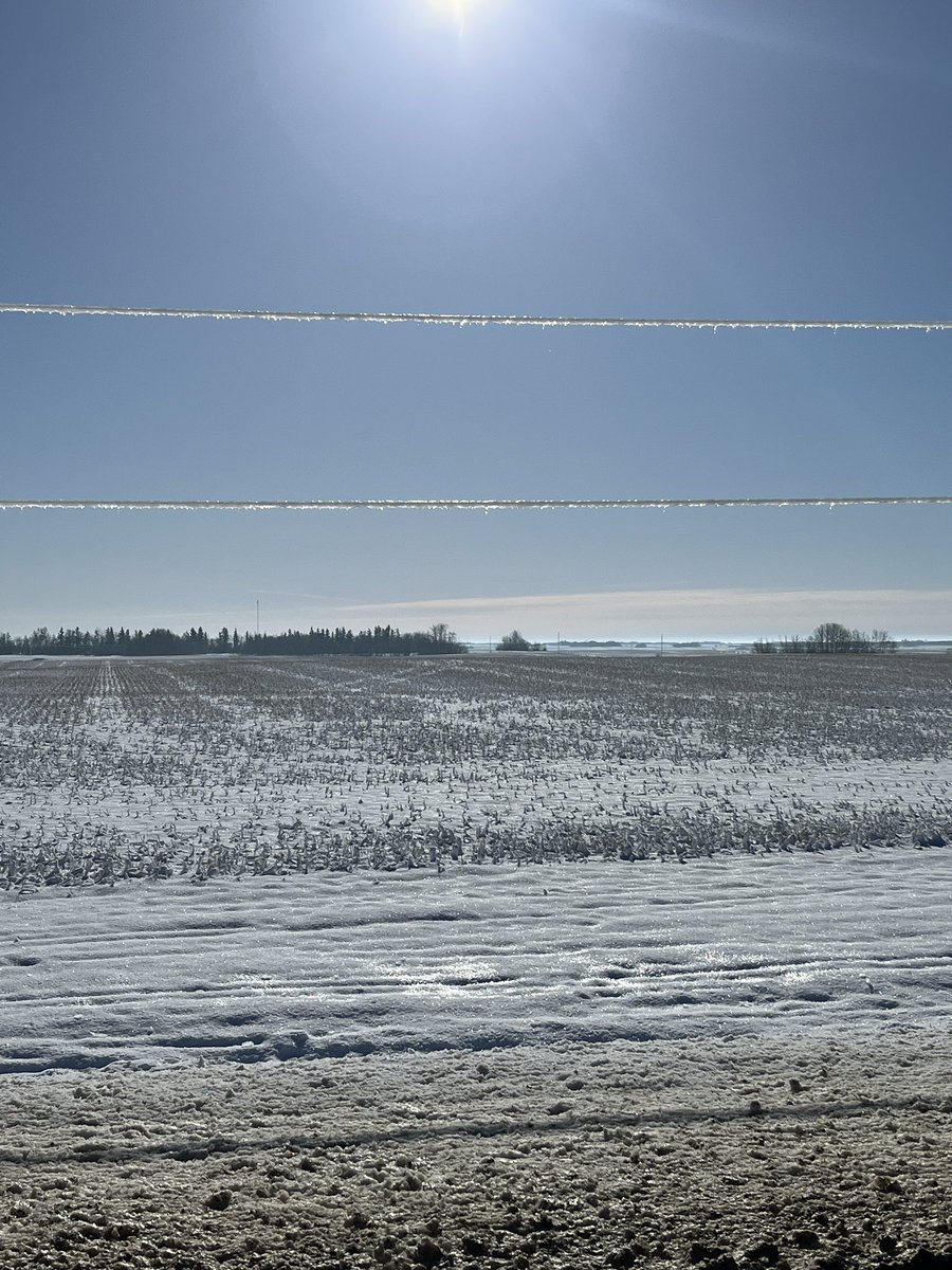 Terry Pederson tweet media