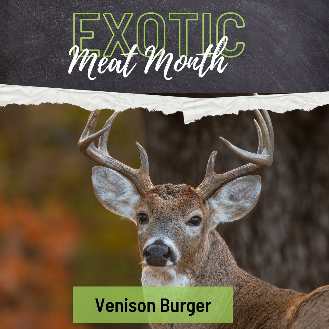 BullCityBurger's tweet photo. #ExoticMeatMonth --> Venison patty topped with honey Bourbon pickled jalapeΓ±os and fresh leaf lettuce, served on house-baked bun
#exoticmeat #venisonburger #venison #burgers #burger #burgertime #foodlover #durhamnc #durhamfoodies #bestofbullcity #bullcityburger https://t.co/6Kbbv24uxI