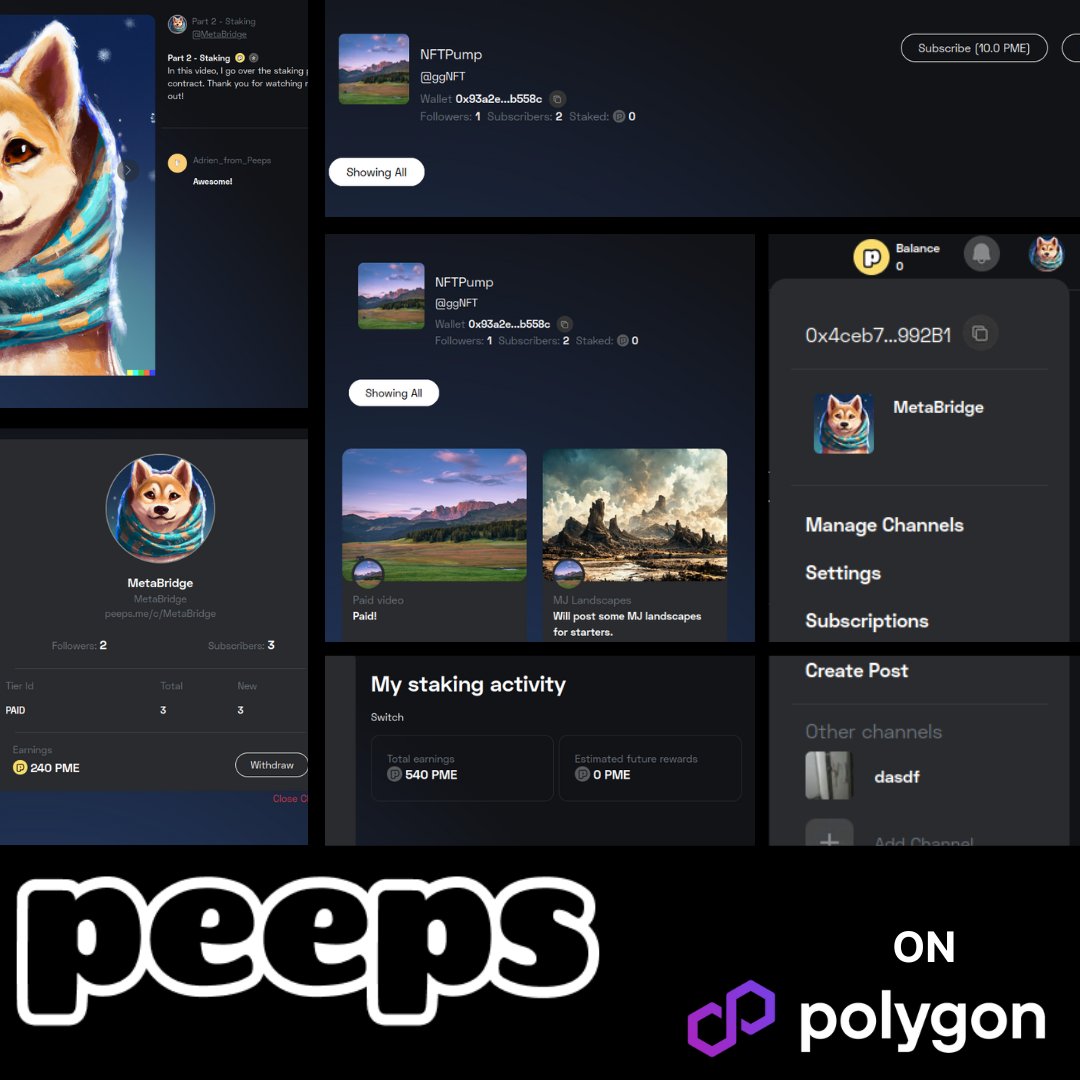 by_metabridge's tweet photo. YouTube on the Blockchain?? That's what we built for the Peeps team on @0xPolygon 
View, comment, subscribe and EARN! A decentralized content sharing platform.

Work with @by_metabridge by sending us a DM!

Demo: https://t.co/VSnZ521ei1 https://t.co/2wduSM9In5