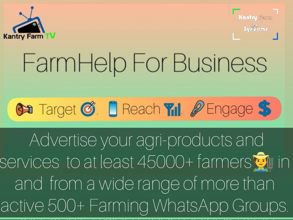 TasanganaFarm's tweet photo. #ZimAt43

@hatiperi_wacho @terrymap1 @magic_wacho @basera_john @agribusinesszw @zimunda_mag @MarichoMedia @KantryFarmMark @kaichro @MwanasikanaW 

The Flag                      The Business https://t.co/1JVwKwfOBo