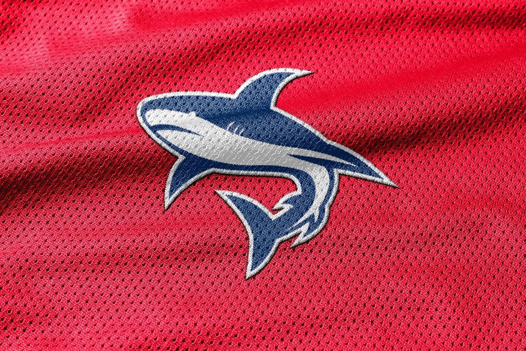 CesarBC29's tweet photo. 🦈⏳👀 https://t.co/0ATyh0ddts