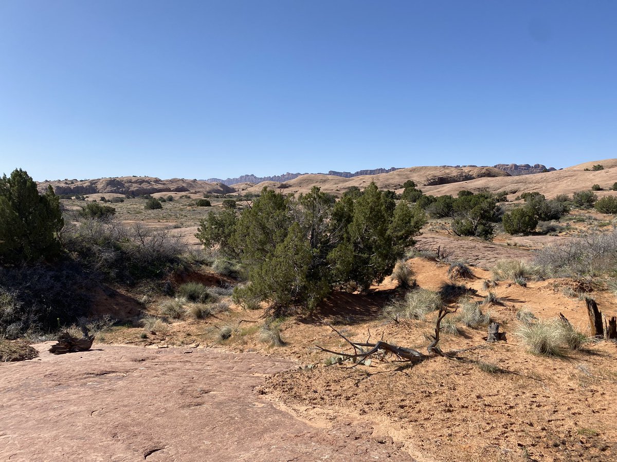 jhallfamily's tweet photo. #quesadillamobilla delicious fuel for Slickrock, Big Mesa and Klondike ridge! #moab #slickrock #bigmesa #klondikeridge https://t.co/AIrjItIB5r