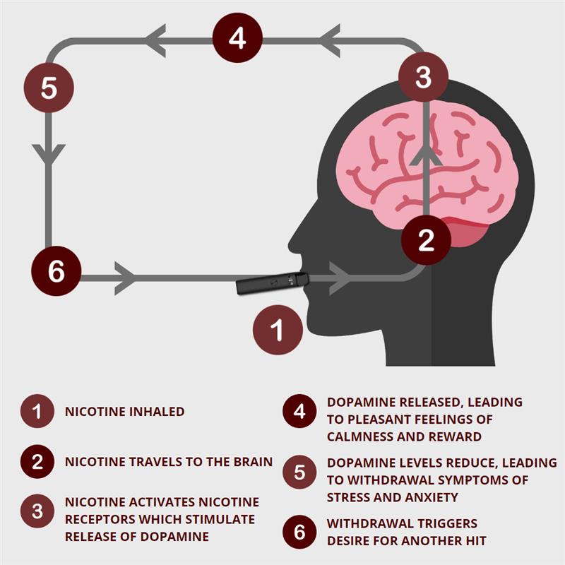 Health Promotion tweet media