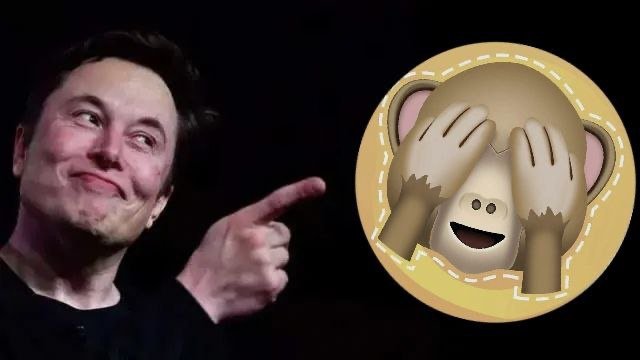 bfbvvvhg's tweet photo. @elonmusk @EndWokeness The #Monkeys community is undergoing reconstruction/brand upgrade. It refers to the monkeys on Elon Musk’s list, and is also his preferred emoji expression pack, including "see no evil". 
@monkeys_erc
 
0xf2a22b900dde3ba18ec2aef67d4c8c1a0dab6aac https://t.co/E5eNPWaoOv