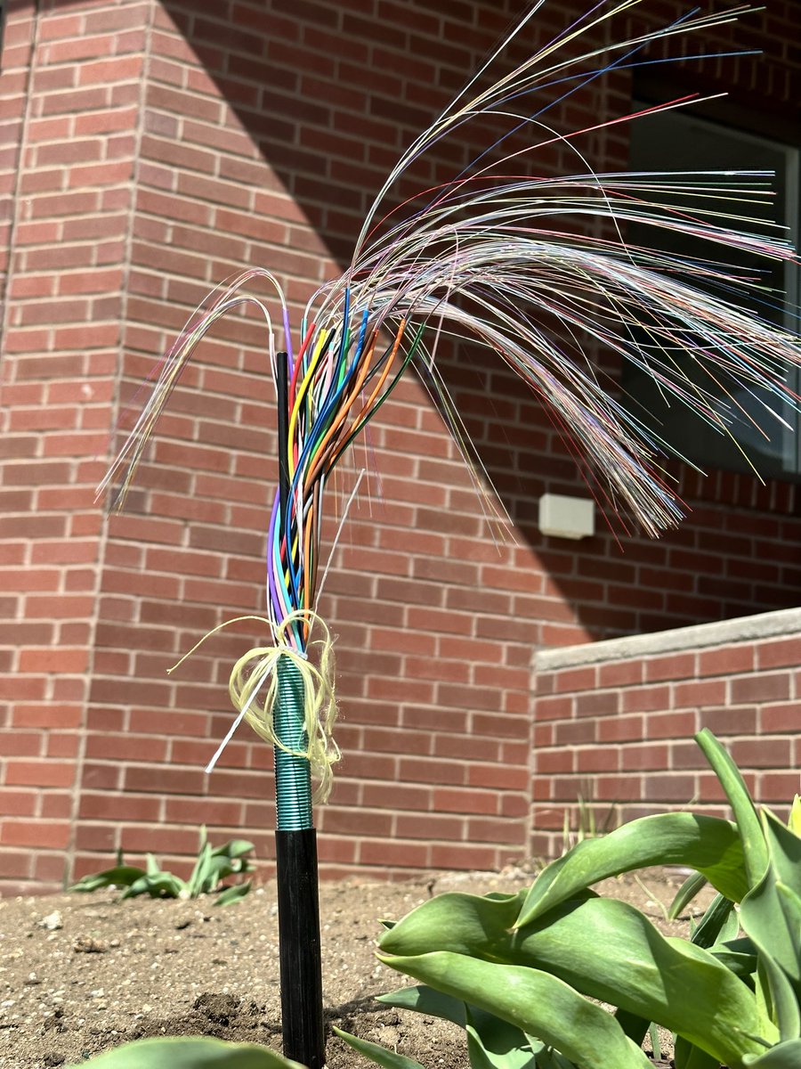 The fiber internet is blooming! J/K, that’s not how fiber works 😂. While some people plant flowers in the spring, <a href="/Leap_Comm/">Leap Communications</a> plants our Fusion Fiber internet. Sign up today for the future of internet connectivity and bring on a more vibrant connection : leap-comm.com/fiber