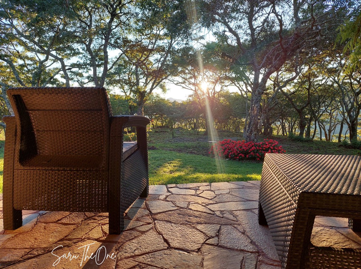 Sarutheone's tweet photo. #HiddenEscapes https://t.co/QdUQhvnaGK