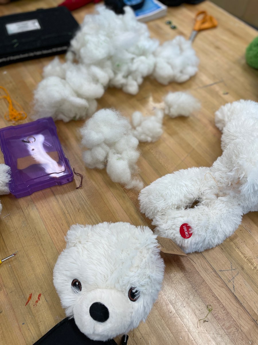 Andy Harris tweet media