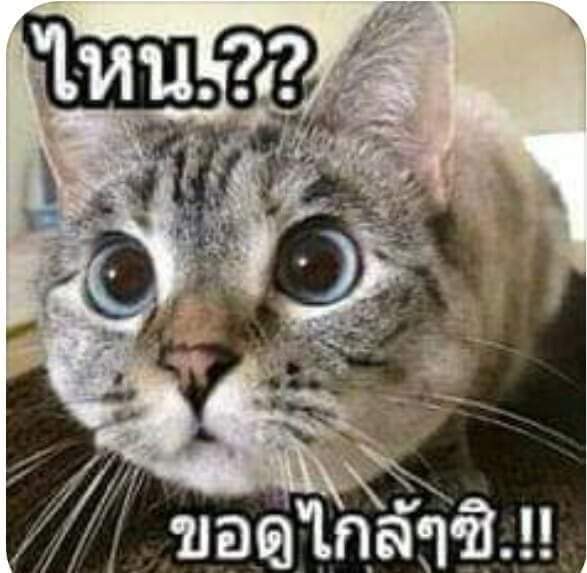 cr55635206's tweet photo. @FonFriendly56 https://t.co/uGZcpgIvGJ