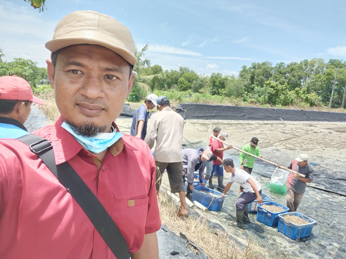 Fridudin tweet media