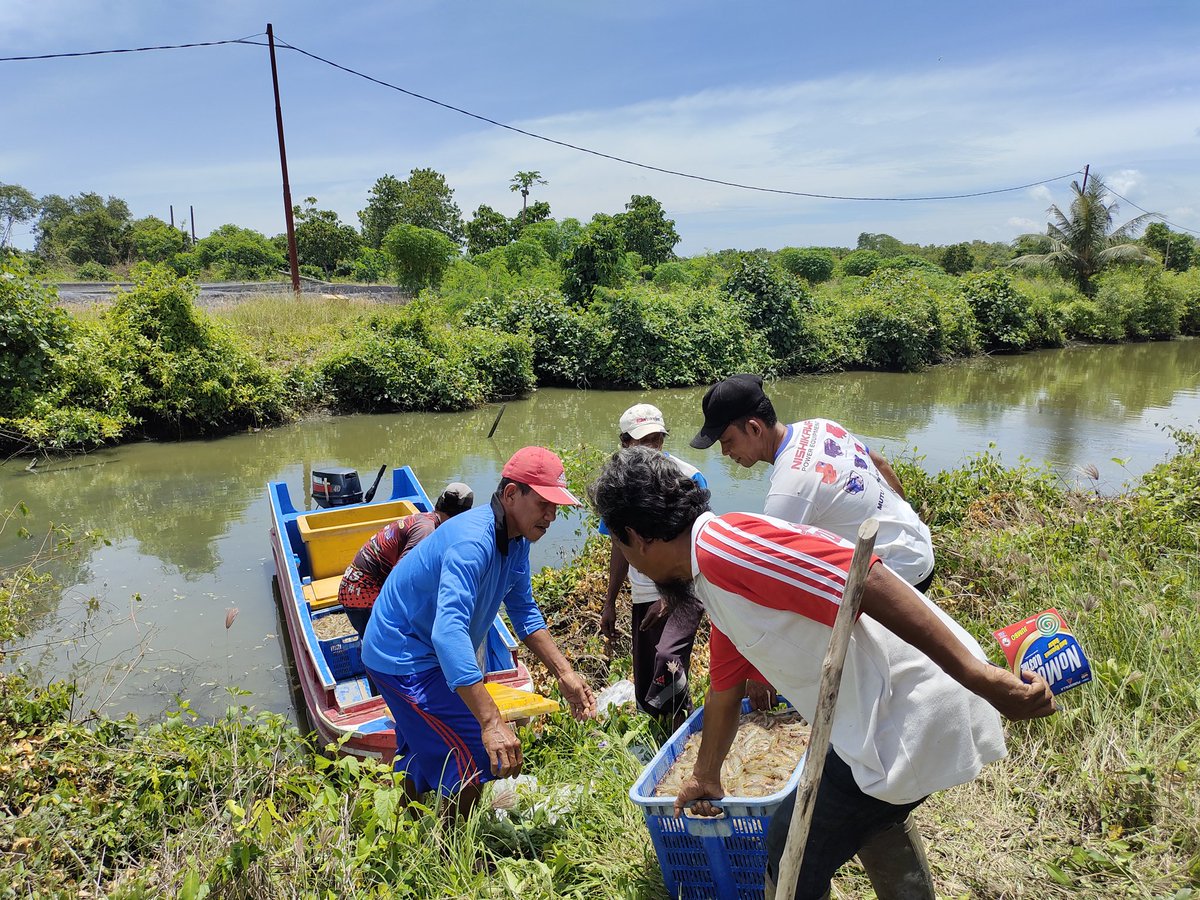 Fridudin tweet media