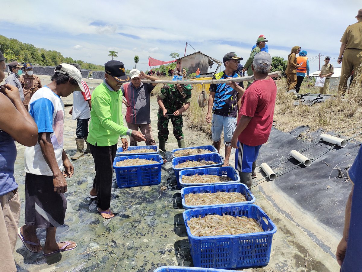 Fridudin tweet media