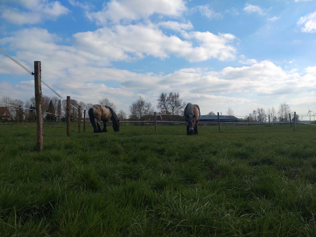 Die Flauschis genießen im Moment ihre erste Woche anweisen. Bis jetzt hatten wir weder Eskalation noch Verdauungsprobleme, hoffen wir, dass es dabei bleibt.
#ponyhof #ponyhour #Twitterherde