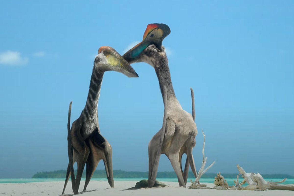 The colours on the male Azdarch's crest &amp; beak look like @WryCritic 's profile pic
#prehistoricplanet