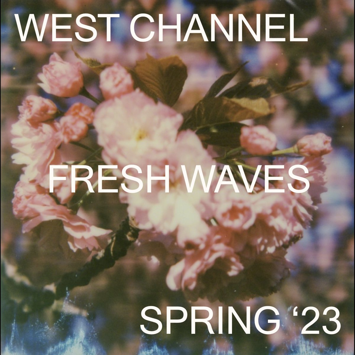 Fresh Waves Spring ‘23!! 🌈🌸

We’re pumped up to share a fresh playlist of titles newly available for one-stop licensing through the West Channel Catalog. Check it out through the link in our bio.

s.disco.ac/pyvokmusabkf