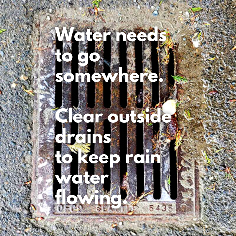 RaymarkPlumbing's tweet photo. 206-430-1954
https://t.co/BiN2hE4MaP
#raymark #neighborcertified https://t.co/EDMvh4HaLX