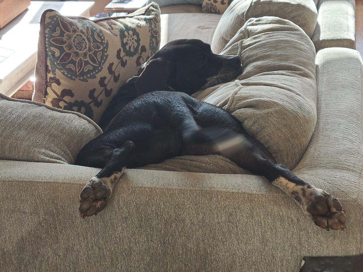 🍑 

<a href="/CohhCarnage/">Cohh Carnage</a>