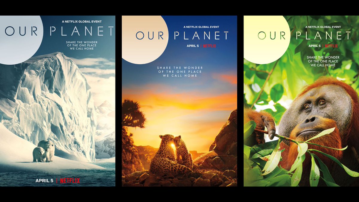 UNinBrussels's tweet photo. The 🇬🇧 #SilverbackFilms & #StudioSilverback, were recognised for their work supporting #SDGs directed at #ClimateAction, life below water & life on land. Silverback Films are renowned for global wildlife landmark series & features: Our Planet, Disneynature features & Wild Isles. https://t.co/fKEyXWIj1T