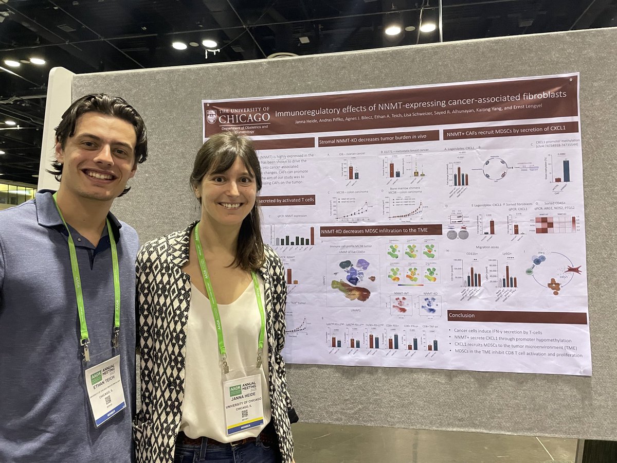 UChicagoCancerCenter (@uccancercenter) on Twitter photo Janna Heide, postdoc from <a href="/OvCa_UChicago/">Lengyel Lab</a> presents poster at <a href="/AACR/">AACR</a> #AACR23 with her recent findings showing expression of NNMT in stroma of malignant tissues and it’s effect on the #TME.
<a href="/UCCancerCenter/">UChicagoCancerCenter</a> <a href="/UChicagoCCB/">UChicago Committee on Cancer Biology</a> <a href="/EthanTeich/">Ethan Teich</a> <a href="/JannaHeide/">JannaHeide</a> Janna Heide, postdoc from <a href="/OvCa_UChicago/">Lengyel Lab</a> presents poster at <a href="/AACR/">AACR</a> #AACR23 with her recent findings showing expression of NNMT in stroma of malignant tissues and it’s effect on the #TME.
<a href="/UCCancerCenter/">UChicagoCancerCenter</a> <a href="/UChicagoCCB/">UChicago Committee on Cancer Biology</a> <a href="/EthanTeich/">Ethan Teich</a> <a href="/JannaHeide/">JannaHeide</a>
