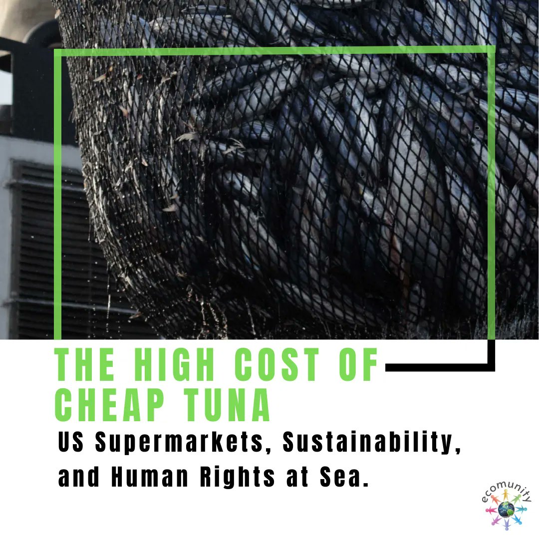 The High Cost of #CheapTuna

#USSupermarkets, #Sustainability, and #HumanRightsatSea.

Read buff.ly/3A4xepi
