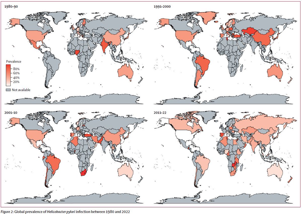 New research - Li et al - Global prevalence of Helicobacter pylori infection between 1980 and 2022: a systematic review and meta-analysis thelancet.com/journals/langa… #Hpylori #gastriccancer #gitwitter