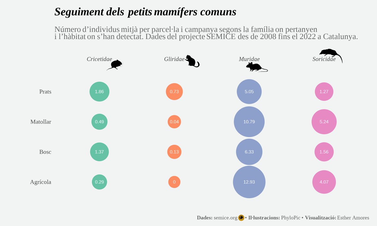 mcngranollers's tweet photo. #Day16 🐭Nombre d'individus mitjà per parcel·la i campanya segons la família on pertanyen i l'hàbitat on s'han detectat.

📊Dades del projecte @SEMICE_ des de 2008 fins al 2022 a Catalunya.

#family #30DayChartChallenge @30DayChartChall https://t.co/sVEnjQ2wVE