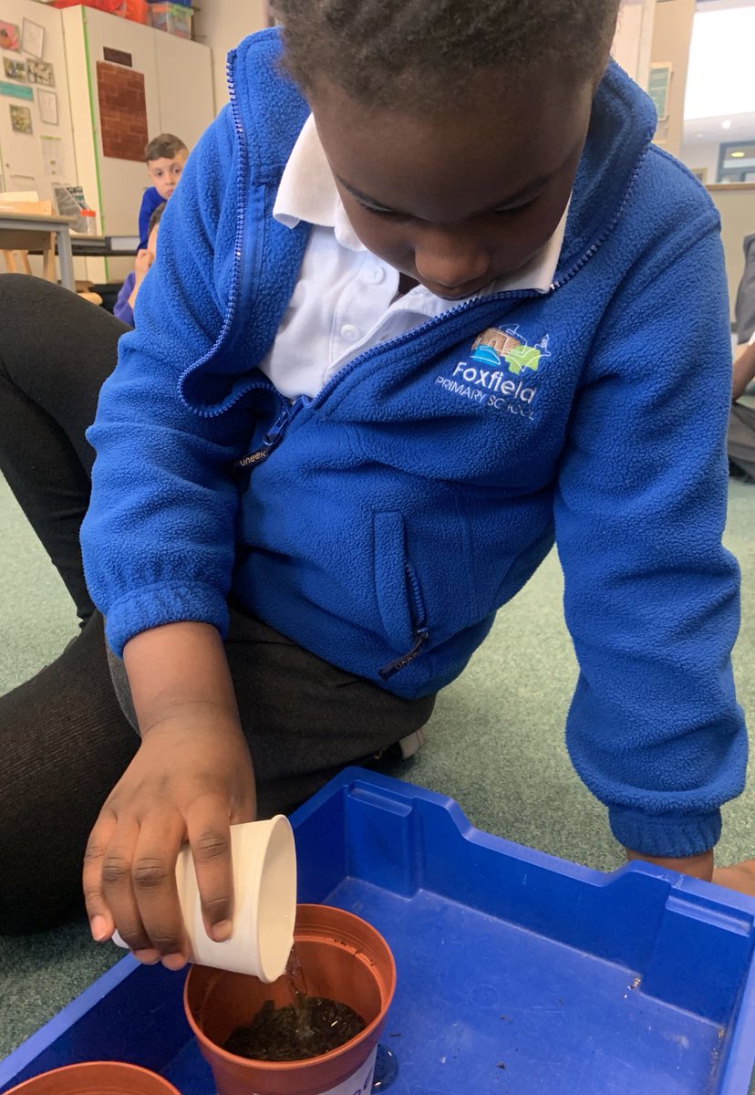 Sycamore Tree Class tweet media