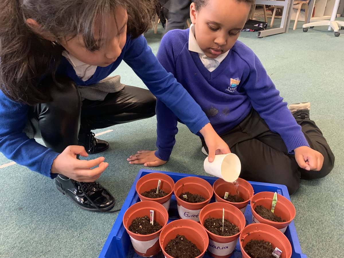 Sycamore Tree Class tweet media